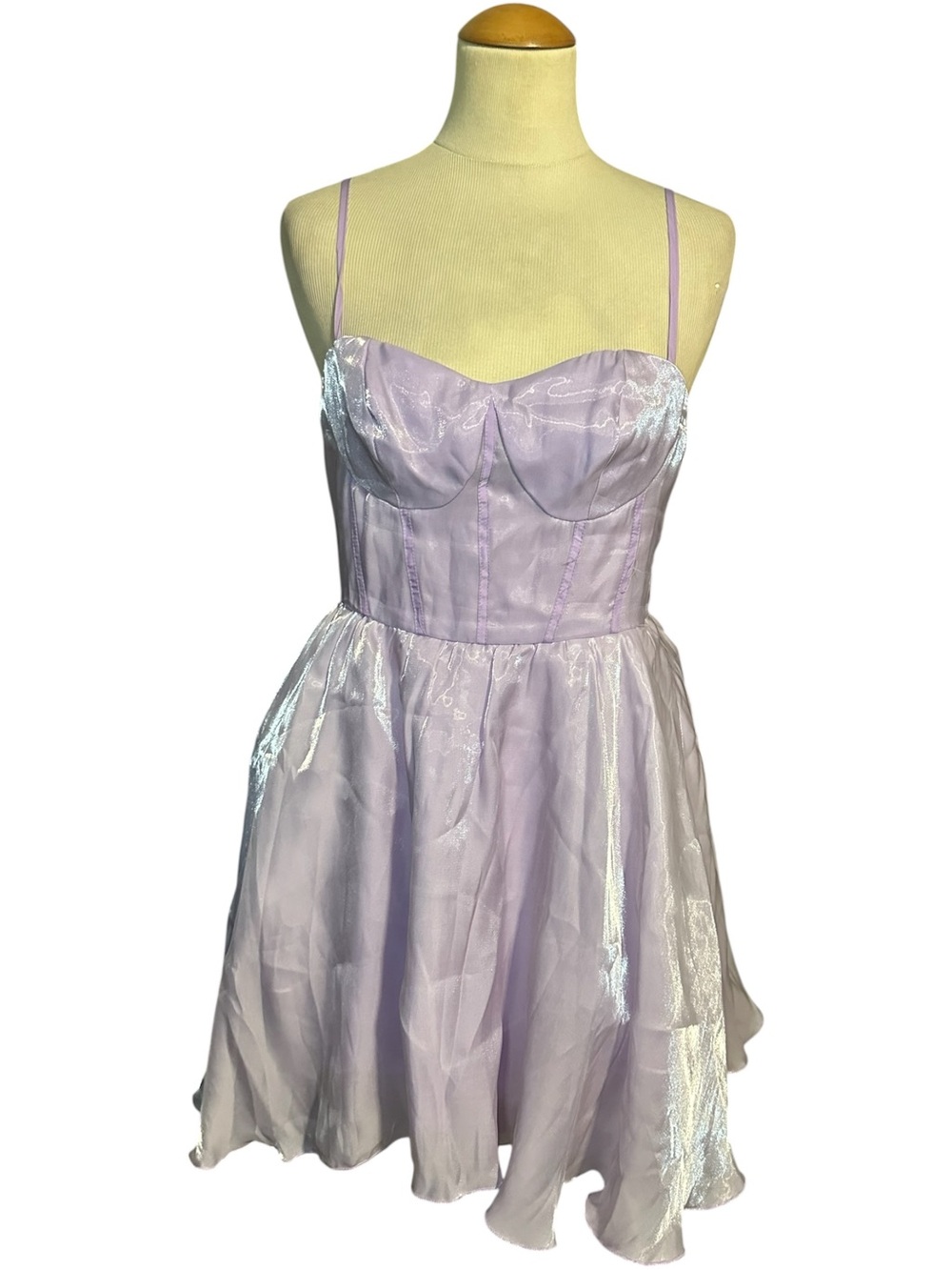 Cider Fairy Corset Mini Dress NWT Iridescent Lilac Size M